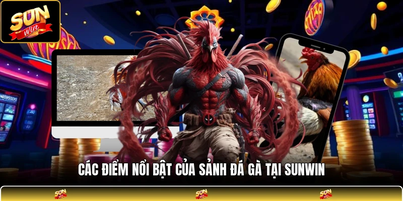 Các điểm nổi bật của sảnh đá gà tại SUNWIN