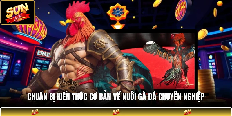 Chuẩn bị kiến thức cơ bản về nuôi gà đá chuyên nghiệp