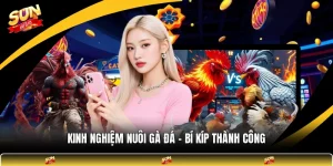 Kinh Nghiệm Nuôi Gà Đá - Bí Kíp Thành Công