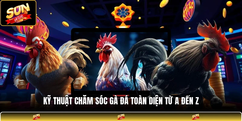 Kỹ thuật chăm sóc gà đá toàn diện từ A đến Z