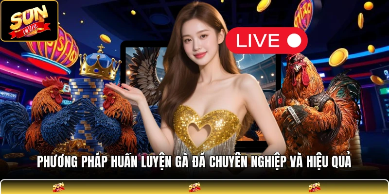 Phương pháp huấn luyện gà đá chuyên nghiệp và hiệu quả