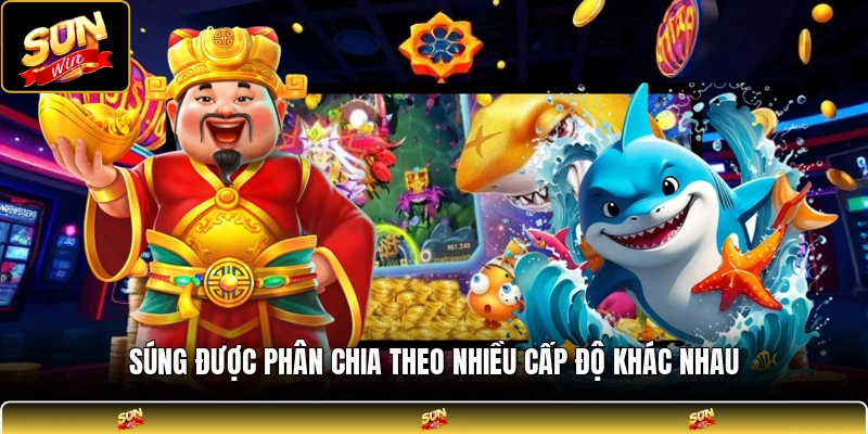 Súng được phân chia theo nhiều cấp độ khác nhau