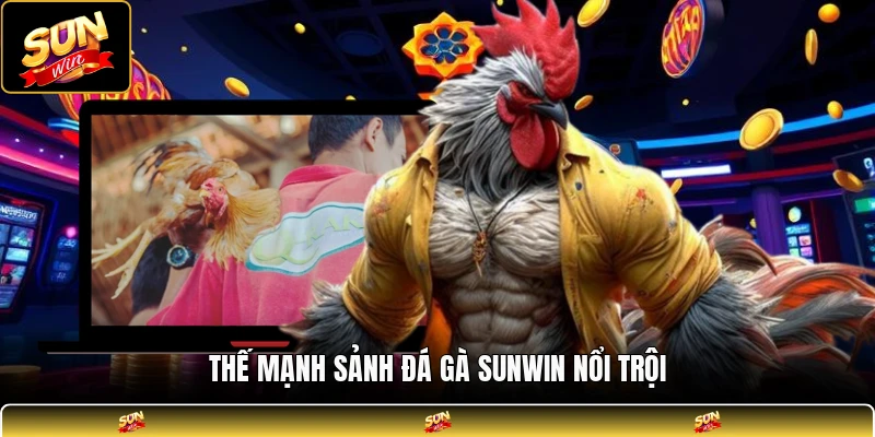 Thế mạnh sảnh đá gà SUNWIN nổi trội